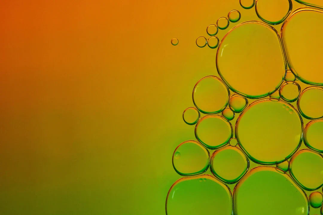 The Ugly Truth about Seed Oils