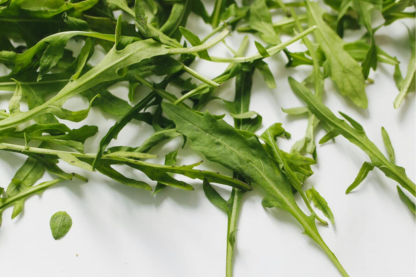 Bitter Foods: How They Support Appetite Regulation and Digestion