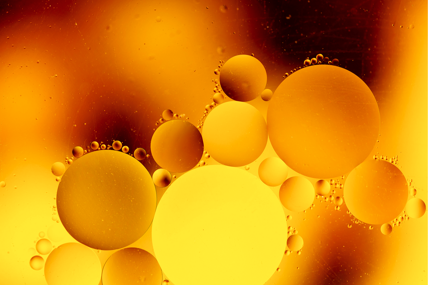 Why Omega-3 Matters for Growing Kids