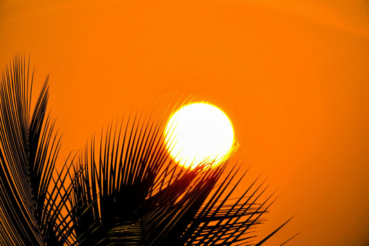 Sun Protection, Do We Need Sun Cream?