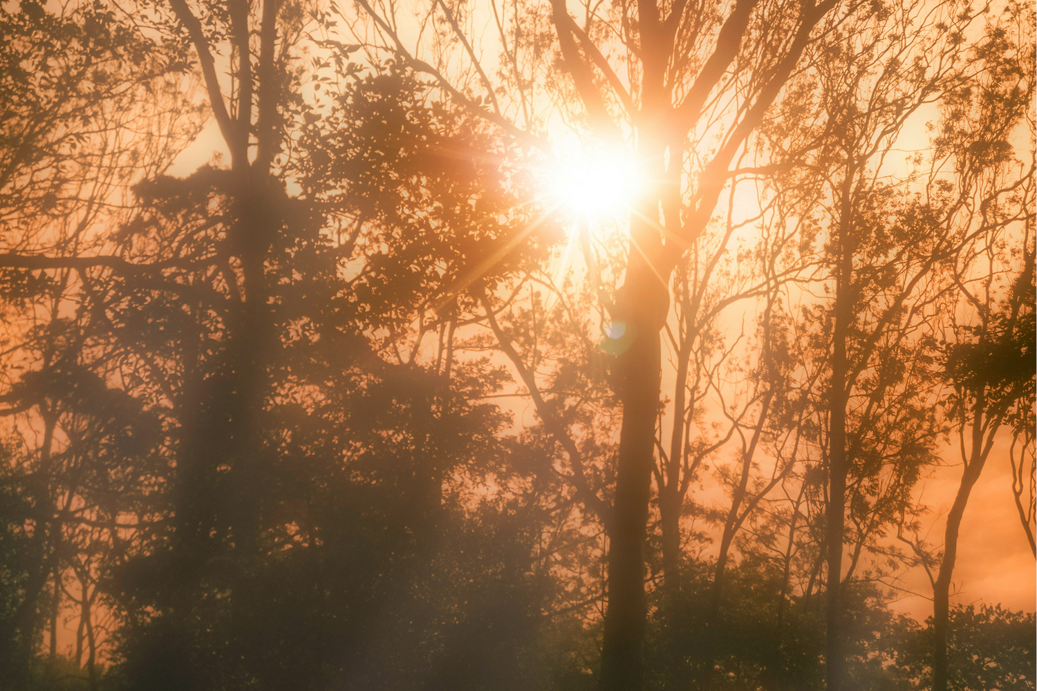 Vitamin D isn’t just a winter supplement