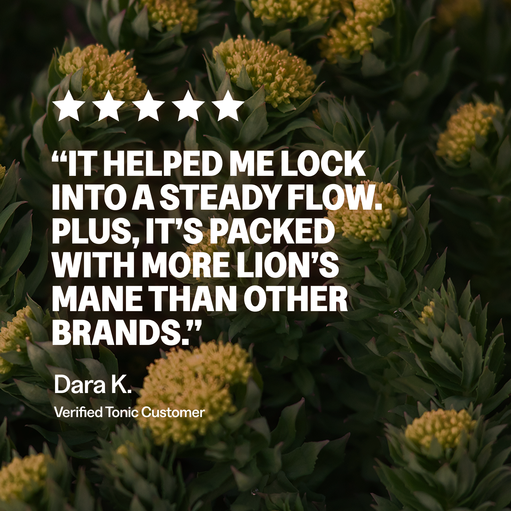 Tonic Health Focus + Mind | 40 Day Supply | 2 Tubes Focus + Mind - 40 day supply | Tonic Health