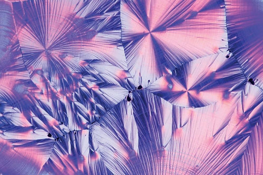 THE HIDDEN BEAUTY OF THE MICROSCOPIC WORLD AND WHY YOU SHOULD CARE