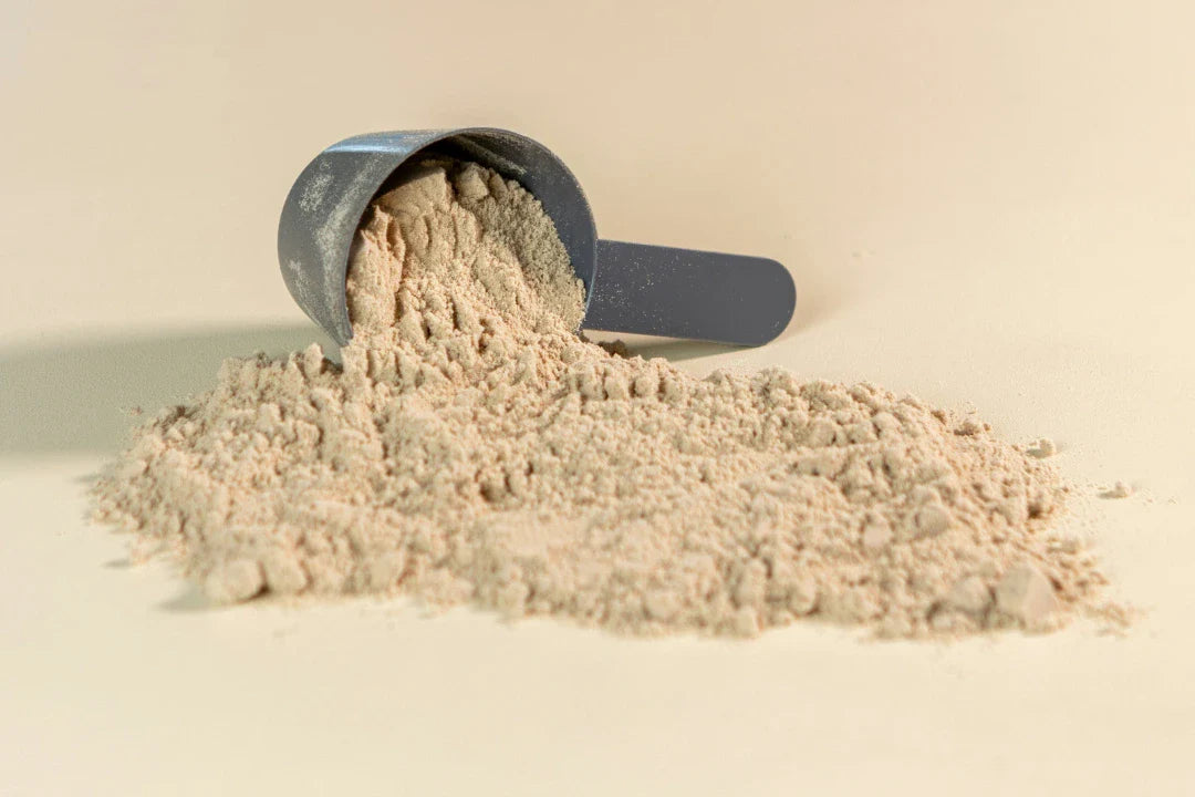 Protein Powders Harmful Hidden Ingredients