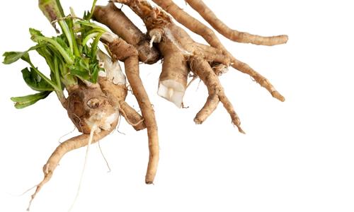7 Benefits of Inulin