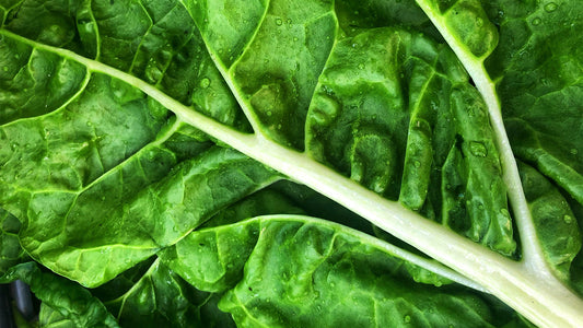 Green Leafy Vegetable