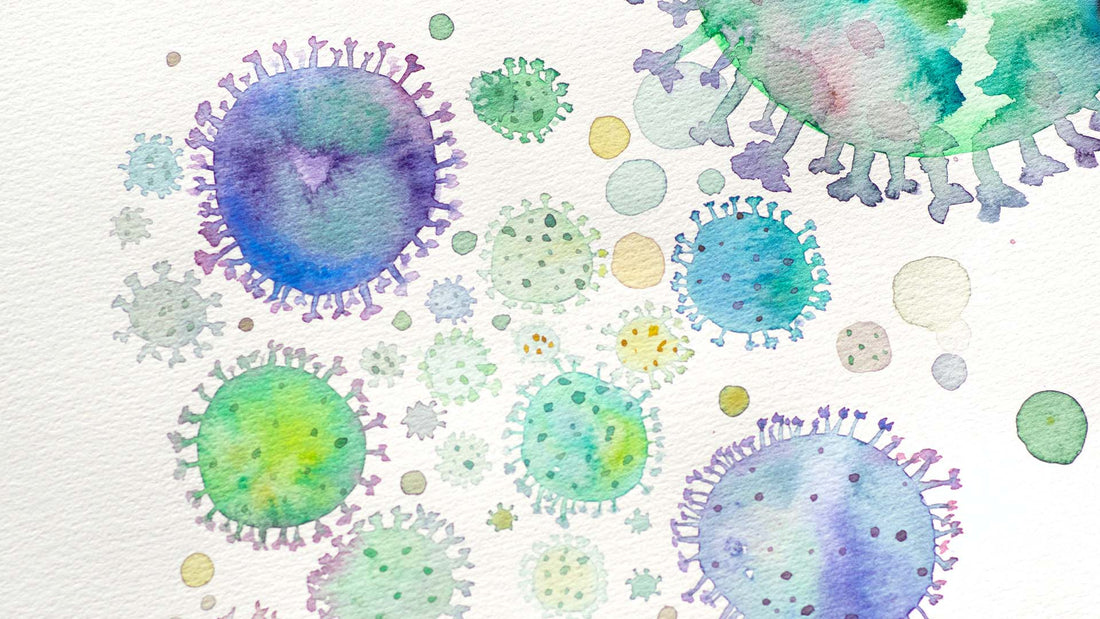 WHY YOUR IMMUNE SYSTEM AND YOUR GUT NEED TO GET ALONG