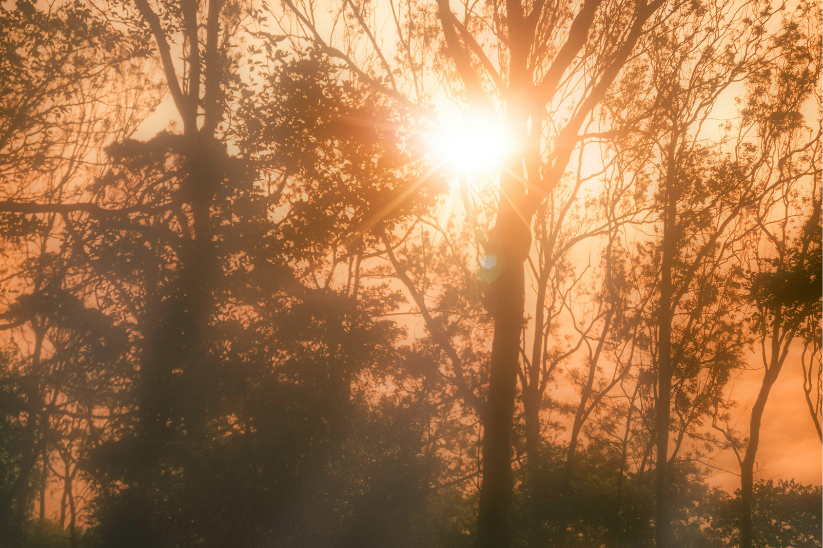 Vitamin D isn’t just a winter supplement