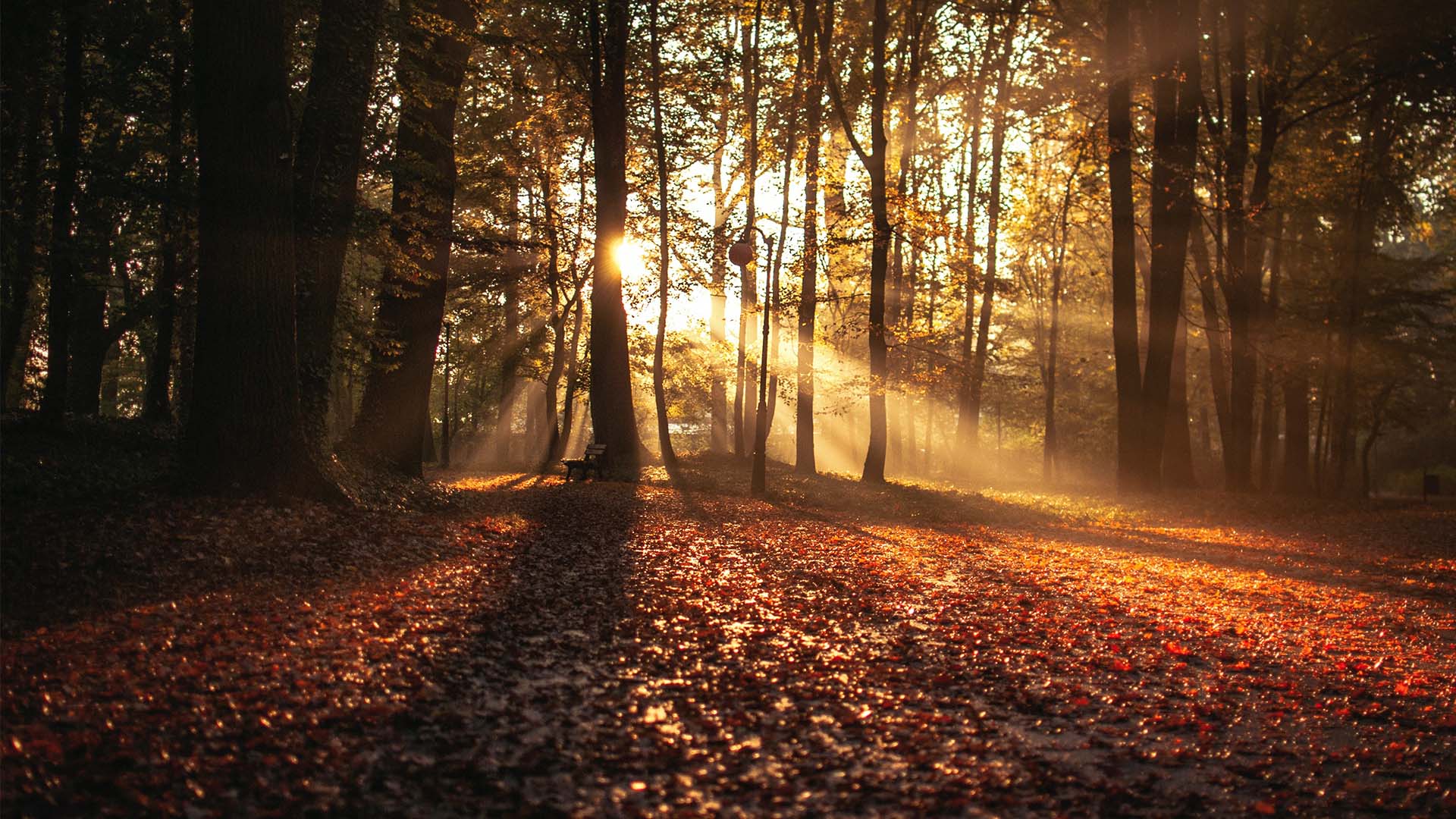 Autumn season
