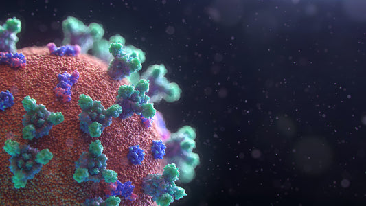 Virus cell 