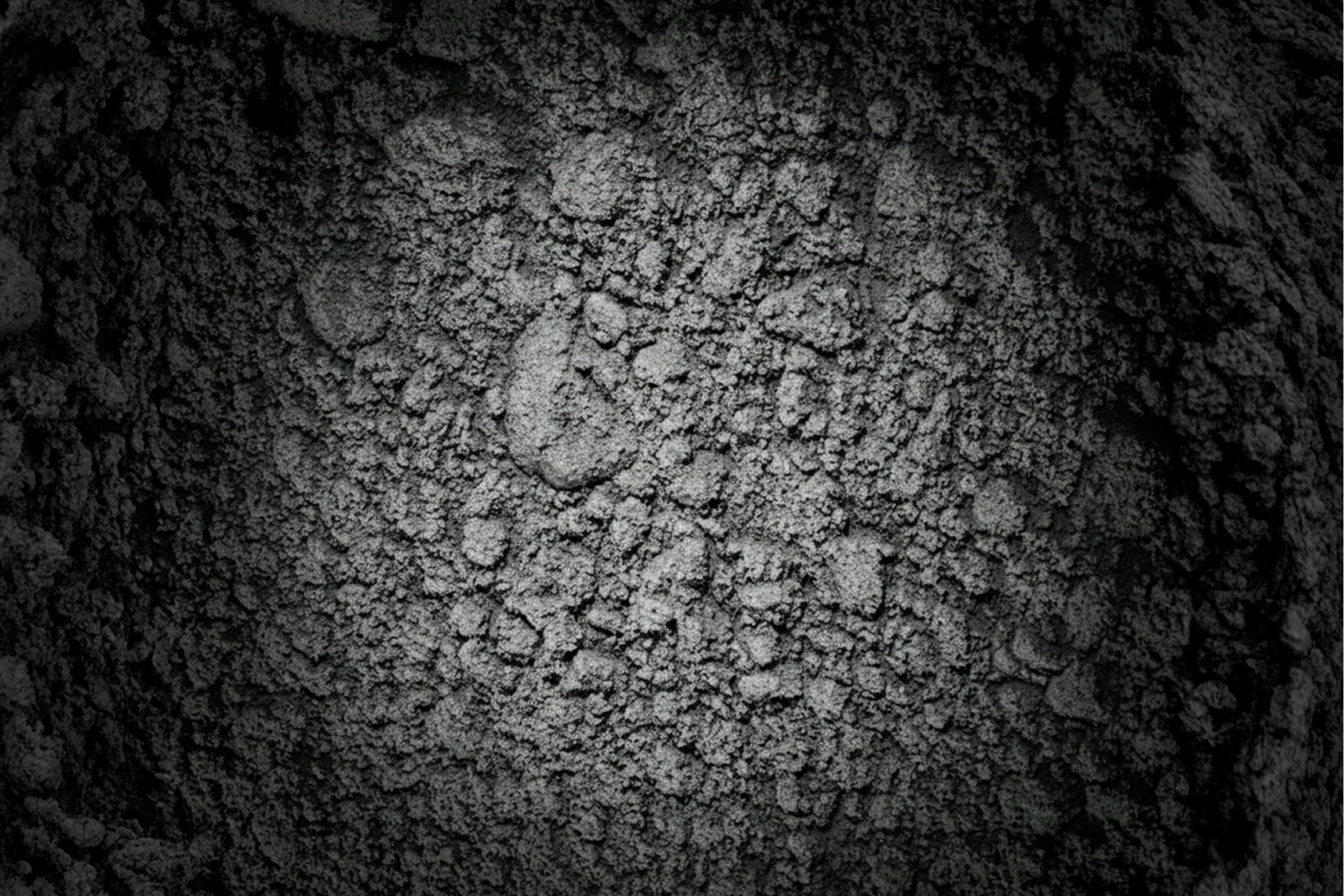 Why your body loves selenium and zinc (and you should too)