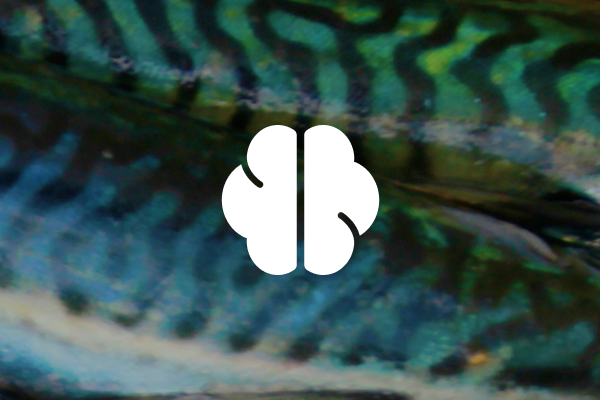 VITAMIN B12