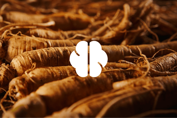 Panax Ginseng