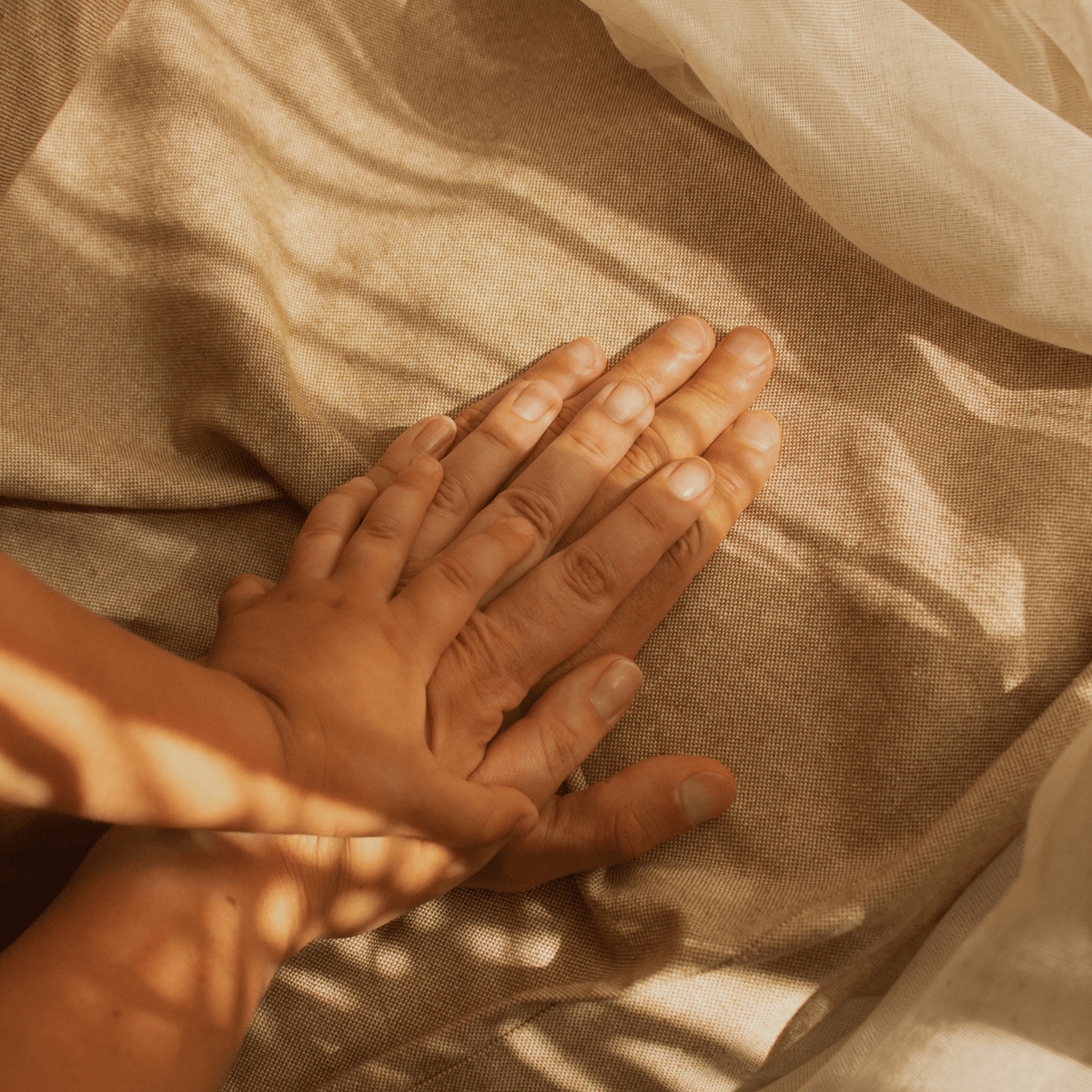 Three hands gently resting on soft beige linen fabric with warm sunlight and leaf shadows.