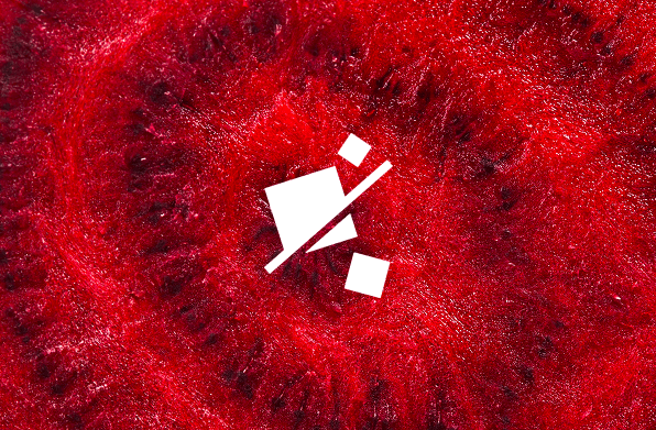 BEETROOT FIBRE