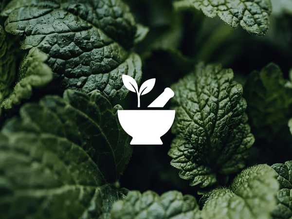 Lemon Balm